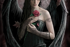 angel_rose_by_Anne-Stokes_d1ywvil-scifinet