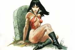 Don-Marquez-Here-is-a-picture-of-Vampirella-in-her-natural-habitat