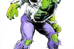 Don-Marquez-The-Hulk