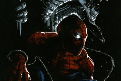 spiderman-ok