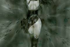 2_Luis-Royo-Akelarre
