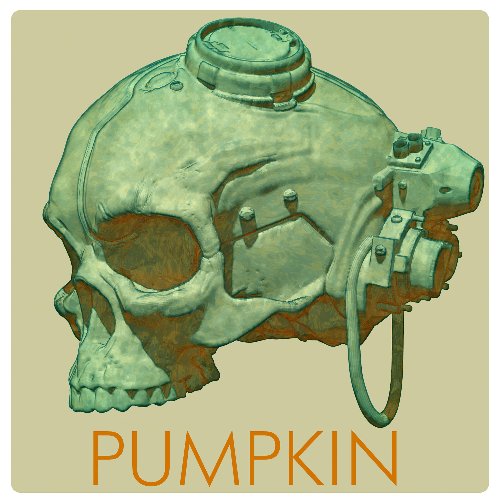 pascal-blanche-skull-pumpkin